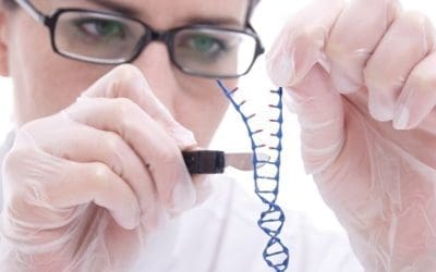Comprehensive Genomic Characteristics