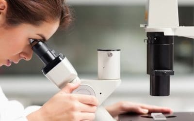 Hereditary Breast Cancer BRCA1/BRCA2