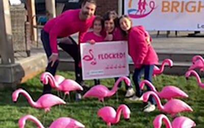 Flocks of Flamingos are BRIGHTening Lawns!