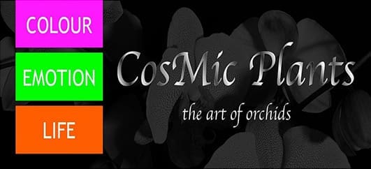 Cosmic-Plants