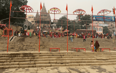 Happy New Year from Dr. Ashirbani