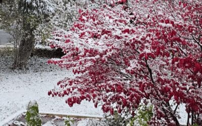 A Year of Growth, Discovery, and New Beginnings 